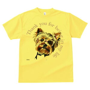 [NV[eA TVc  j[NfUCfB[X t@  t vg lJWA 킢 lԗp Mtg I ҏ΍ Kl [NV[eA lN^