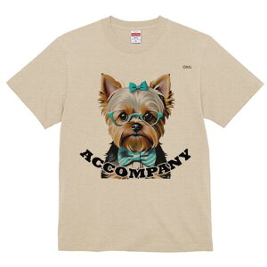 [NV[eA TVc  j[NfUCY LbY t@  t vg lJWA 킢 lԗp Mtg I ҏ΍ Kl [NV[eA lN