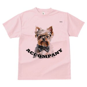 [NV[eA TVc  j[NfUCY LbY t@  t vg lJWA 킢 lԗp Mtg I ҏ΍ Kl [NV[eA lN