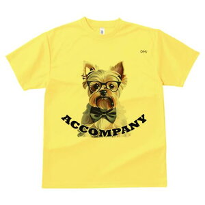 [NV[eA TVc  j[NfUCY LbY t@  t vg lJWA 킢 lԗp Mtg I ҏ΍ Kl [NV[eA lN