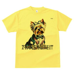 [NV[eA TVc  j[NfUCfB[X t@  t vg lJWA 킢 lԗp Mtg I ҏ΍ lN^C [NV[eA X[