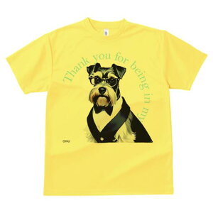 ~j`AViEU[ TVc  j[NfUCfB[X t@  t vg lJWA 킢 lԗp Mtg I ҏ΍ lN^C ~j`AViEU