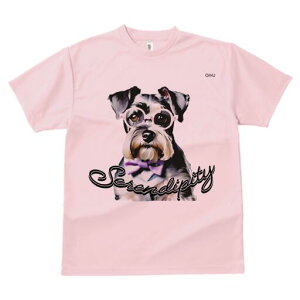 ~j`AViEU[ TVc  j[NfUCY LbY t@  t vg lJWA 킢 lԗp Mtg I ҏ΍ Kl ~j`AViEU