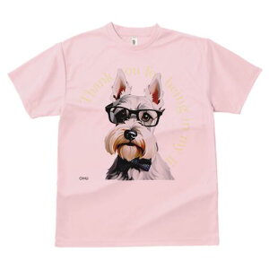 XReBbVeA TVc  j[NfUCfB[X t@  t vg lJWA 킢 lԗp Mtg I ҏ΍ Kl XReBbVeA l