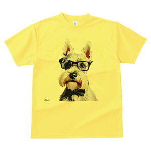 XReBbVeA TVc  j[NfUCY LbY t@  t vg lJWA 킢 lԗp Mtg I ҏ΍ Kl XReBbVeA 