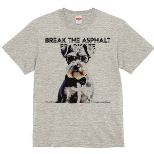 ~j`AViEU[ TVc  j[NfUCfB[X t@  t vg lJWA 킢 lԗp Mtg I ҏ΍ Kl ~j`AViEU[ 