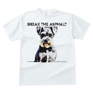 ~j`AViEU[ TVc  j[NfUCfB[X t@  t vg lJWA 킢 lԗp Mtg I ҏ΍ Kl ~j`AViEU[ 