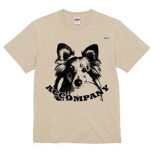 VFbghV[vhbO TVc  j[NfUCY LbY t@  t vg lJWA 킢 lԗp Mtg I ҏ΍ VFbghV[vhb