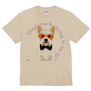 EGXgnChzCgeA TVc  j[NfUCfB[X t@  t vg lJWA 킢 lԗp Mtg I ҏ΍ Kl EGXgnC