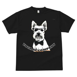 EGXgnChzCgeA TVc  j[NfUCfB[X t@  t vg lJWA 킢 lԗp Mtg I ҏ΍ Kl EGXgnC