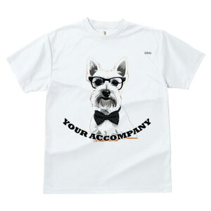 EGXgnChzCgeA TVc  j[NfUCfB[X t@  t vg lJWA 킢 lԗp Mtg I ҏ΍ Kl EGXgnC