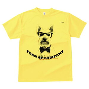 EGXgnChzCgeA TVc  j[NfUCfB[X t@  t vg lJWA 킢 lԗp Mtg I ҏ΍ Kl EGXgnC