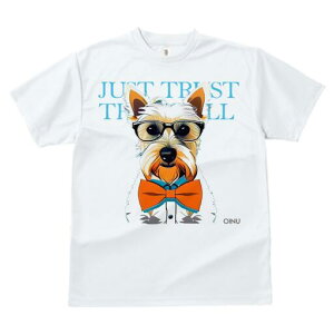 EFXgnChzCgeA TVc  j[NfUCfB[X t@  t vg lJWA 킢 lԗp Mtg I ҏ΍ Kl EFXgnC