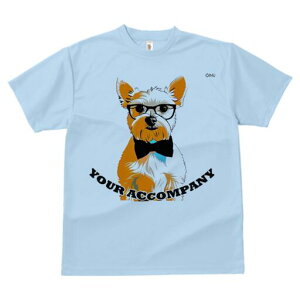 [NV[eA TVc  j[NfUCfB[X t@  t vg lJWA 킢 lԗp Mtg I ҏ΍ Kl [NV[eA lN^