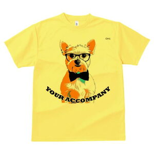 [NV[eA TVc  j[NfUCfB[X t@  t vg lJWA 킢 lԗp Mtg I ҏ΍ Kl [NV[eA lN^