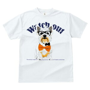 EGXgnChzCgeA TVc  j[NfUCY LbY t@  t vg lJWA 킢 lԗp Mtg I ҏ΍ EGXgnCh