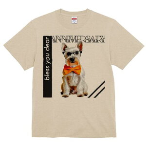 EGXgnChzCgeA TVc  j[NfUCY LbY t@  t vg lJWA 킢 lԗp Mtg I ҏ΍ lN^C EGX