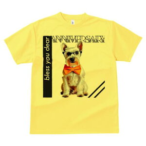 EGXgnChzCgeA TVc  j[NfUCfB[X t@  t vg lJWA 킢 lԗp Mtg I ҏ΍ lN^C EGXgn