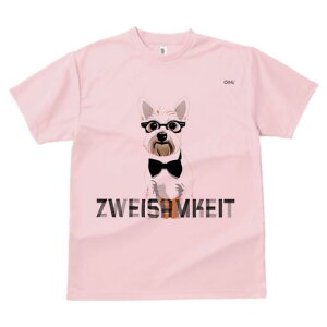 EGXgnChzCgeA TVc  j[NfUCY LbY t@  t vg lJWA 킢 lԗp Mtg I ҏ΍ Kl EGXgn