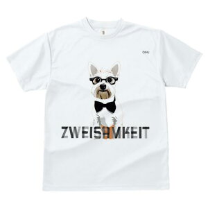 EGXgnChzCgeA TVc  j[NfUCY LbY t@  t vg lJWA 킢 lԗp Mtg I ҏ΍ Kl EGXgn