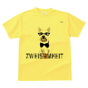 EGXgnChzCgeA TVc  j[NfUCY LbY t@  t vg lJWA 킢 lԗp Mtg I ҏ΍ Kl EGXgn