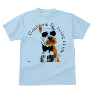 EGXgnChzCgeA TVc  j[NfUCY LbY t@  t vg lJWA 킢 lԗp Mtg I ҏ΍ TOX EGX