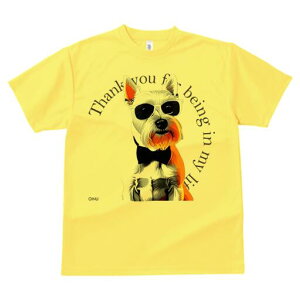 EGXgnChzCgeA TVc  j[NfUCfB[X t@  t vg lJWA 킢 lԗp Mtg I ҏ΍ TOX EGXgn