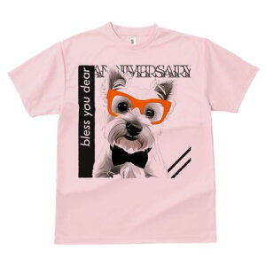 EGXgnChzCgeA TVc  j[NfUCfB[X t@  t vg lJWA 킢 lԗp Mtg I ҏ΍ Kl EGXgnC