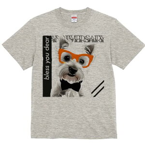 EGXgnChzCgeA TVc  j[NfUCY LbY t@  t vg lJWA 킢 lԗp Mtg I ҏ΍ Kl EGXgn