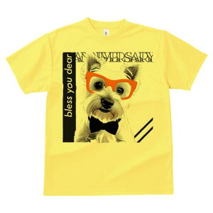 EGXgnChzCgeA TVc  j[NfUCfB[X t@  t vg lJWA 킢 lԗp Mtg I ҏ΍ Kl EGXgnC