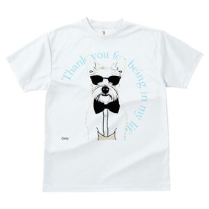 EGXgnChzCgeA TVc  j[NfUCfB[X t@  t vg lJWA 킢 lԗp Mtg I ҏ΍ TOX EGXgn