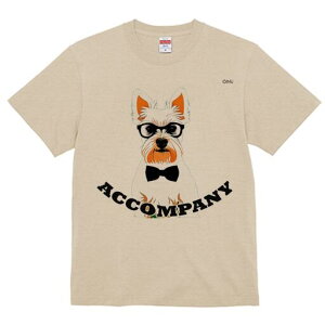 EGXgnChzCgeA TVc  j[NfUCfB[X t@  t vg lJWA 킢 lԗp Mtg I ҏ΍ Kl EGXgnC