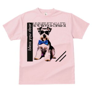 ~j`AViEU[ TVc  j[NfUCfB[X t@  t vg lJWA 킢 lԗp Mtg I ҏ΍ Kl ~j`AViEU[ 