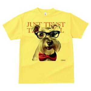 ~j`AViEU[ TVc  j[NfUCfB[X t@  t vg lJWA 킢 lԗp Mtg I ҏ΍ Kl ~j`AViEU[ 