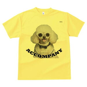 gCv[h TVc  j[NfUCfB[X t@  t vg lJWA 킢 lԗp Mtg I ҏ΍ Kl gCv[h Z[^[ lN^C