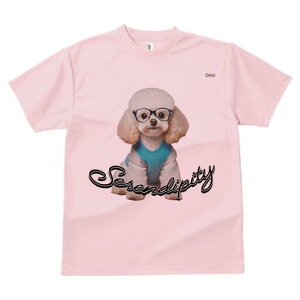 gCv[h TVc  j[NfUCfB[X t@  t vg lJWA 킢 lԗp Mtg I ҏ΍ Kl gCv[h Z[^[