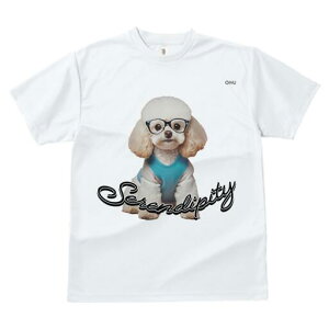 gCv[h TVc  j[NfUCfB[X t@  t vg lJWA 킢 lԗp Mtg I ҏ΍ Kl gCv[h Z[^[