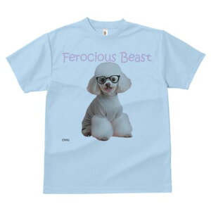 gCv[h TVc  j[NfUCfB[X t@  t vg lJWA 킢 lԗp Mtg I ҏ΍ Kl gCv[h Z[^[