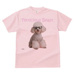 gCv[h TVc  j[NfUCfB[X t@  t vg lJWA 킢 lԗp Mtg I ҏ΍ Kl gCv[h Z[^[