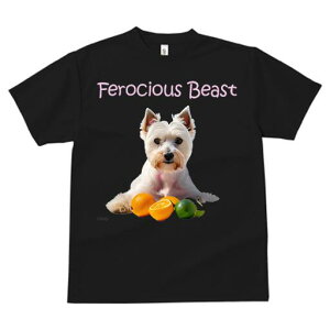 EGXgnChzCgeA TVc  j[NfUCfB[X t@  t vg lJWA 킢 lԗp Mtg I ҏ΍ k EGXgnC