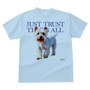 EGXgnChzCgeA TVc  j[NfUCfB[X t@  t vg lJWA 킢 lԗp Mtg I ҏ΍ EGXgnChz