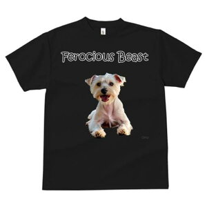 EGXgnChzCgeA TVc  j[NfUCY LbY t@  t vg lJWA 킢 lԗp Mtg I ҏ΍ EGXgnCh