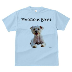 EGXgnChzCgeA TVc  j[NfUCfB[X t@  t vg lJWA 킢 lԗp Mtg I ҏ΍ TVc EGXgnC