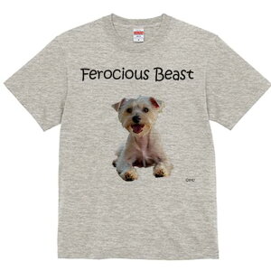 EGXgnChzCgeA TVc  j[NfUCfB[X t@  t vg lJWA 킢 lԗp Mtg I ҏ΍ TVc EGXgnC