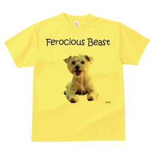 EGXgnChzCgeA TVc  j[NfUCfB[X t@  t vg lJWA 킢 lԗp Mtg I ҏ΍ TVc EGXgnC