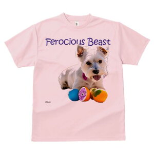 EGXgnChzCgeA TVc  j[NfUCfB[X t@  t vg lJWA 킢 lԗp Mtg I ҏ΍ {[ EGXgnC