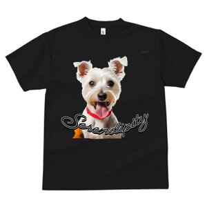 EGXgnChzCgeA TVc  j[NfUCfB[X t@  t vg lJWA 킢 lԗp Mtg I ҏ΍  EGXgnC