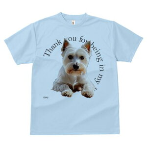 EGXgnChzCgeA TVc  j[NfUCfB[X t@  t vg lJWA 킢 lԗp Mtg I ҏ΍ EGXgnChz