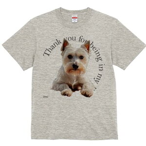 EGXgnChzCgeA TVc  j[NfUCfB[X t@  t vg lJWA 킢 lԗp Mtg I ҏ΍ EGXgnChz