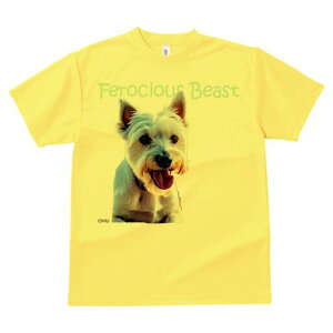 EGXgnChzCgeA TVc  j[NfUCfB[X t@  t vg lJWA 킢 lԗp Mtg I ҏ΍ EGXgnChz